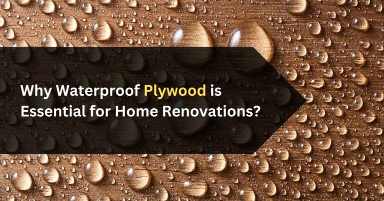 Why Waterproof Plywood is Essential for Home Renovations?