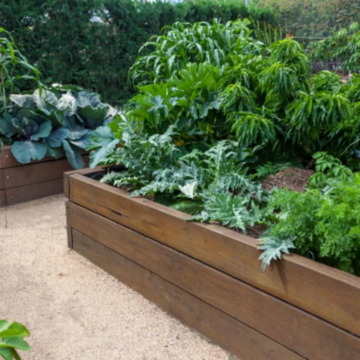 Brown pressure treated lumber for backyard fence installation