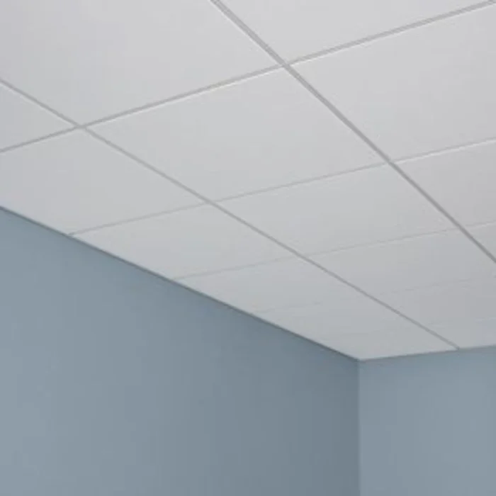 USG/CGC Radar Basic 2310 Installed 2x4 Ceiling Tiles USG/CGC Radar Basic 2310 2x4 white acoustic ceiling tiles installed in suspended ceiling grid